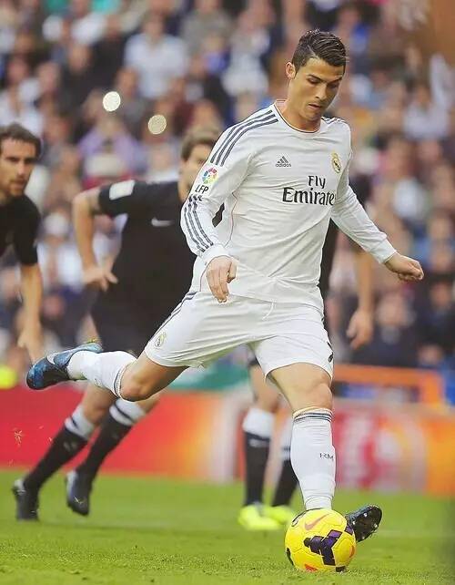 他们必须成 他们必须成