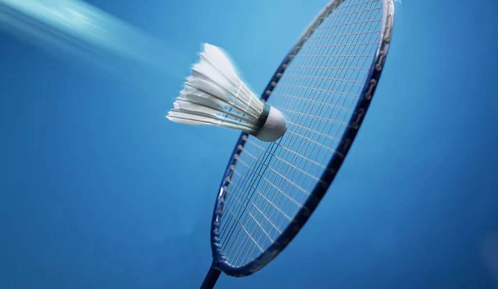 的竞争生态 的竞争生态